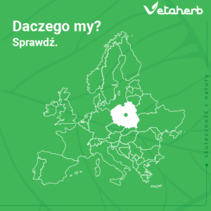 Najczęstsze pytania hodowców. Zdrowe stado drobiu i trzody dzięki naturalnym rozwiązaniom Vetaherb
