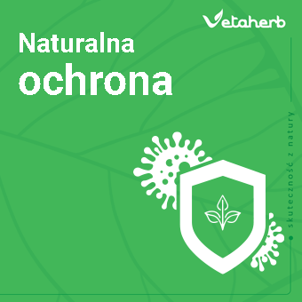 Nowoczesne badania i nauka w Vetaherb – skuteczne preparaty dla zdrowia drobiu i trzody