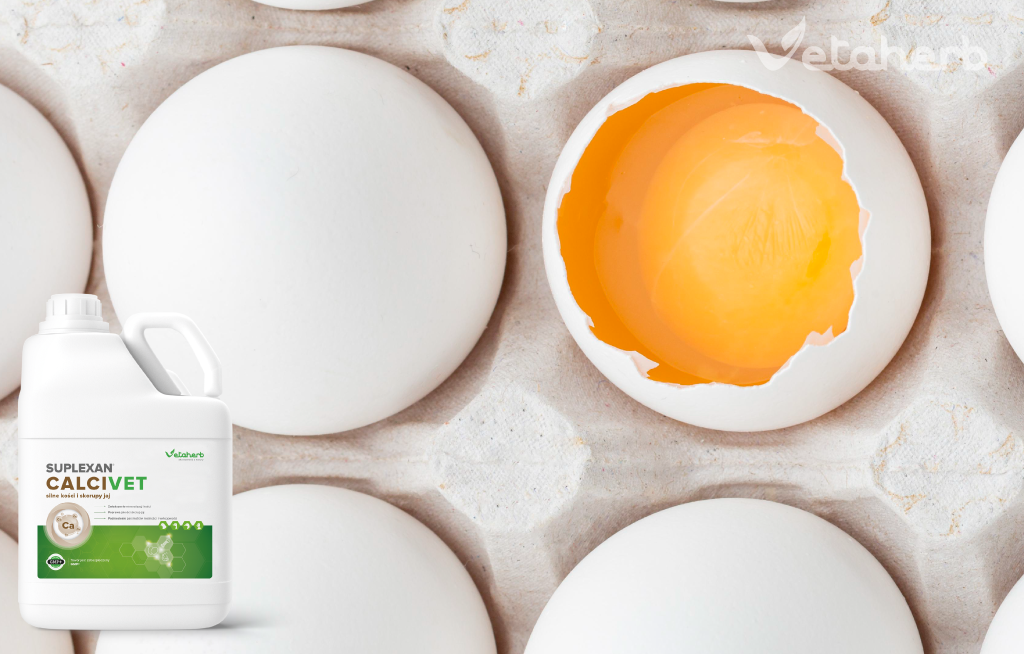 Calcivet – wsparcie mineralizacji kośćca i jakości skorupek jaj | Vetaherb