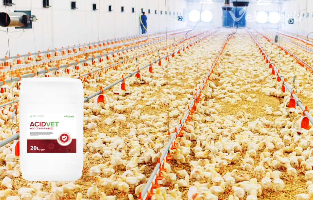 acidvet zakwaszacz wody pitnej