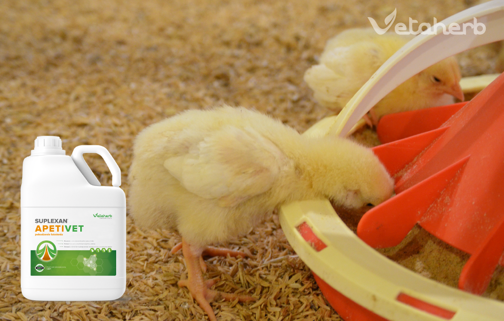 ApetiVet – naturalne pobudzenie łaknienia i wsparcie trawienia drobiu Vetaherb