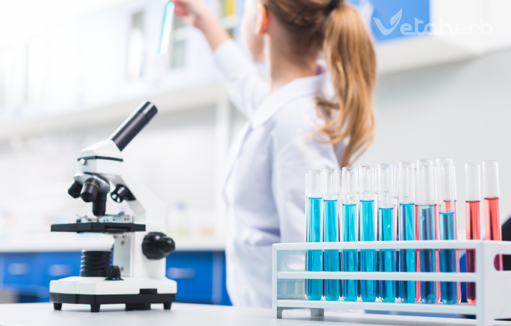 Proces stabilizacji i formulacji ekstraktów fitogenicznych Vetaherb – cz. 2