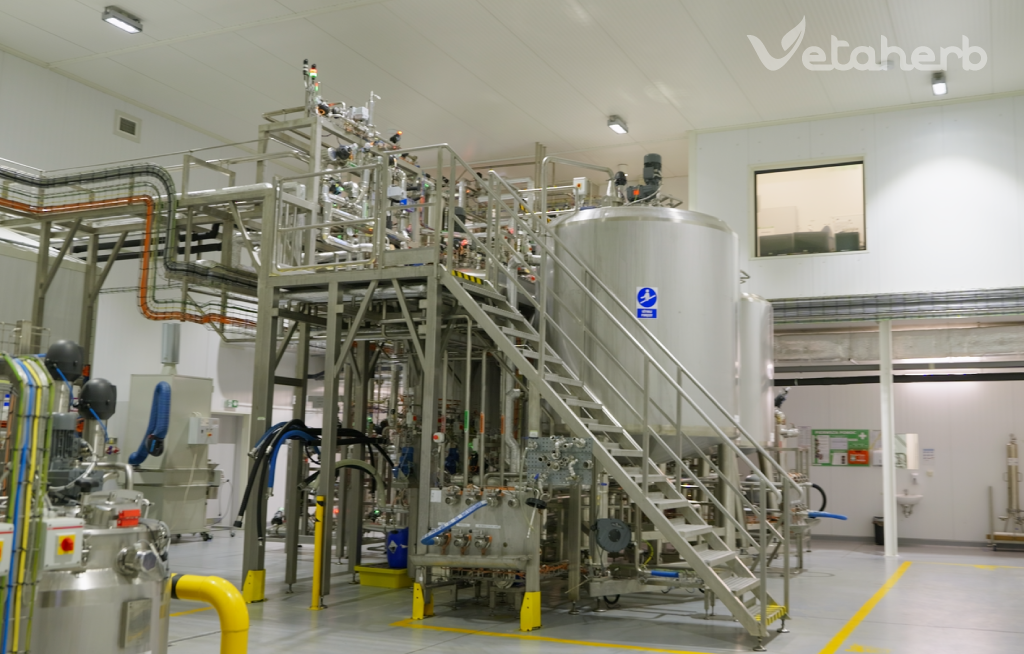 Proces produkcji preparatów fitogenicznych – cz. 1 | Vetaherb