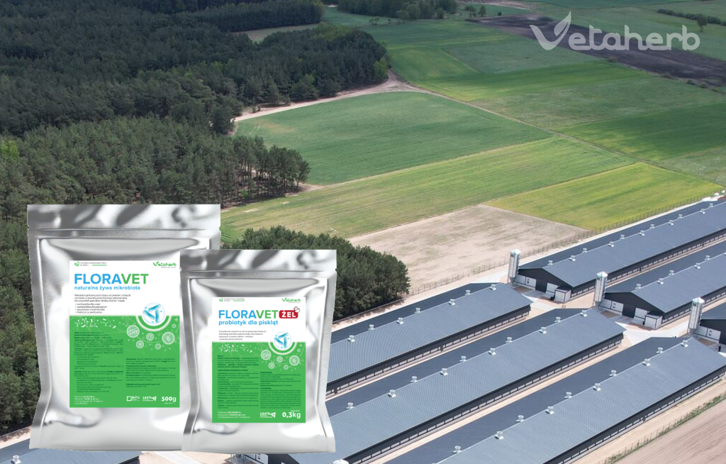 Floravet – żywa mikrobiota jelitowa dla drobiu | Vetaherb