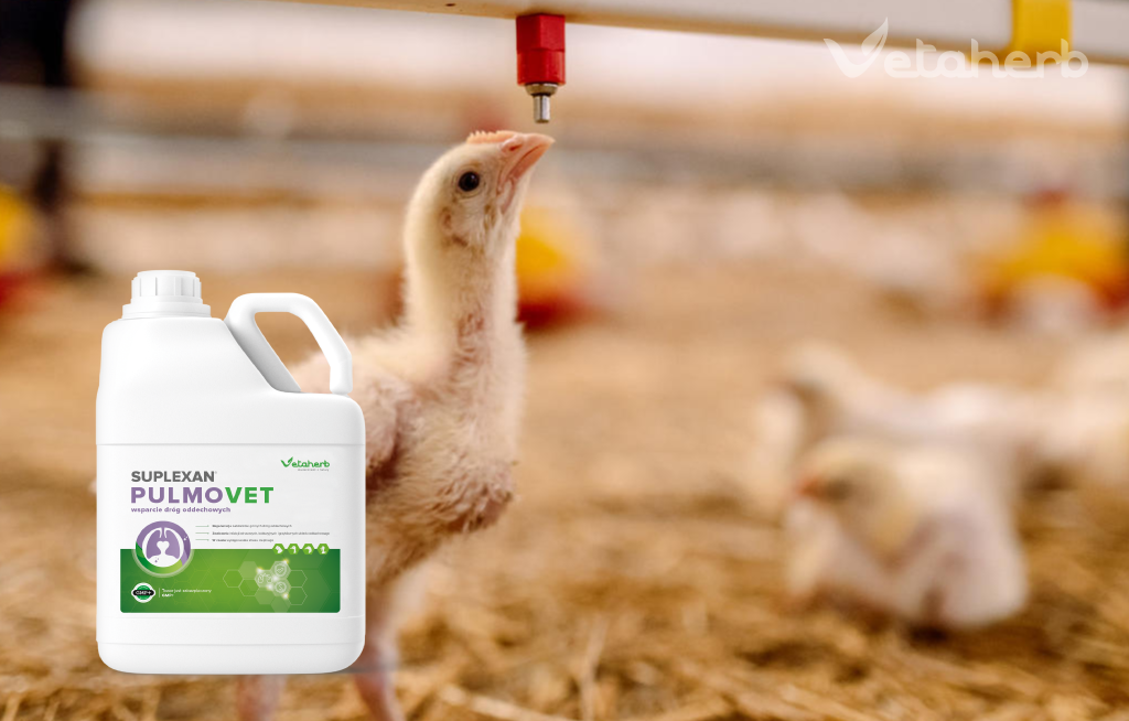PulmoVet – wsparcie dróg oddechowych drobiu | Vetaherb