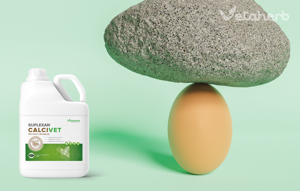 Mocne kości i twarda skorupka jaj w hodowli drobiu – mineralizacja kości i skorupek u niosek i brojlerów