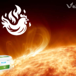 Stres cieplny u drobiu brojlerów niosek – dyszenie i mokra ściółka w upały