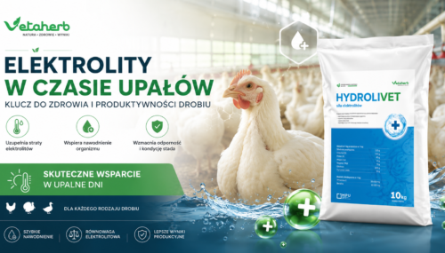 Hydrolivet Elektrolity dla drobiu w czasie upałów – wsparcie nawodnienia i równowagi elektrolitowej