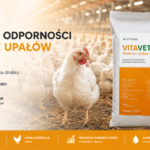 Witamina C dla drobiu w okresie upałów – wsparcie odporności i energii stada- vetaherb Vitavet C+
