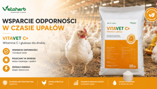 Witamina C dla drobiu w okresie upałów – wsparcie odporności i energii stada- vetaherb Vitavet C+